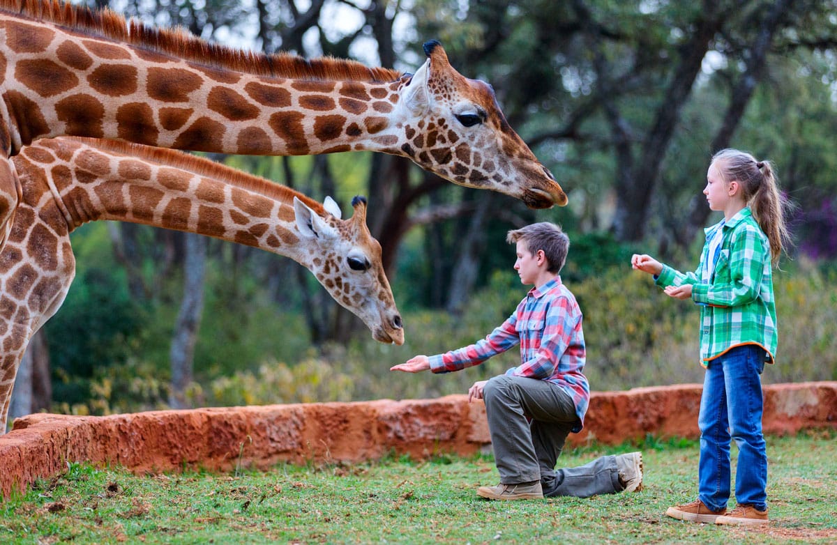 safari zoo texas